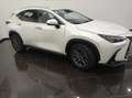 Lexus NX 350h Business City 4WD Blanco - thumbnail 3