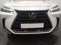 Lexus NX 350h Business City 4WD Blanco - thumbnail 7
