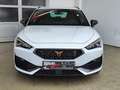 CUPRA Leon ST 1.5 eTSI DSG LED|ACC|RFK Weiß - thumbnail 27