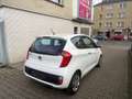 Kia Picanto Dream Team Weiß - thumbnail 2