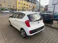 Kia Picanto Dream Team Weiß - thumbnail 6