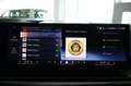BMW X6 xDrive30d 48V Msport Pro  Tetto cerchi 22 360° Gris - thumbnail 50