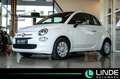 Fiat 500 Basis | TEMPOMAT| CARPLAY | Weiß - thumbnail 1