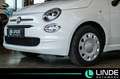 Fiat 500 Basis | TEMPOMAT| CARPLAY | Weiß - thumbnail 2