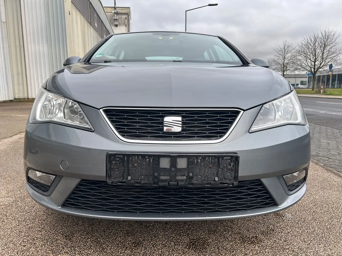 SEAT Ibiza Lim. Stylance / Style TÜV Neu 8 Reifen Grau - 2