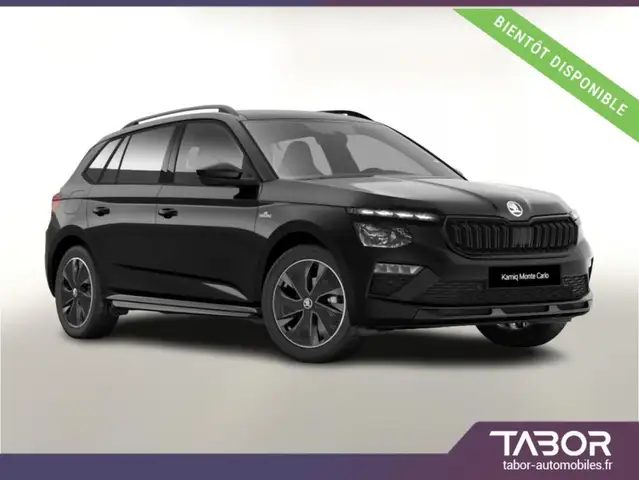 Skoda Kamiq 150 DSG Monte Pano Matrix ACC SideA