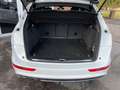 Audi Q5 2.0 TDI quattro 3xSLine+ACC+AHK+Black Paket!! Weiß - thumbnail 7