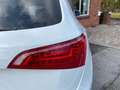 Audi Q5 2.0 TDI quattro 3xSLine+ACC+AHK+Black Paket!! Weiß - thumbnail 21