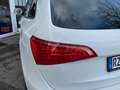 Audi Q5 2.0 TDI quattro 3xSLine+ACC+AHK+Black Paket!! Weiß - thumbnail 20