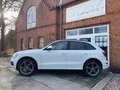 Audi Q5 2.0 TDI quattro 3xSLine+ACC+AHK+Black Paket!! Weiß - thumbnail 11