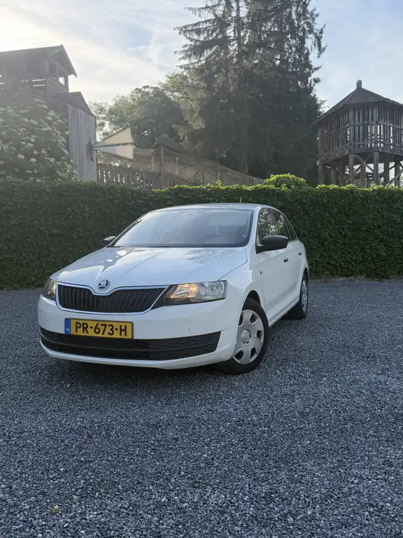 Skoda Rapid/Spaceback 2014 из Европы — купить под ключ