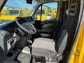 Iveco Daily 35 C 11 AGile Gelb - thumbnail 4