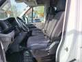 MAN TGE TGE Kasten 3,5t L3H2 2,0 TDI Lang Aut. Alb - thumbnail 9