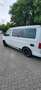 Volkswagen T5 California comfortline Alb - thumbnail 4