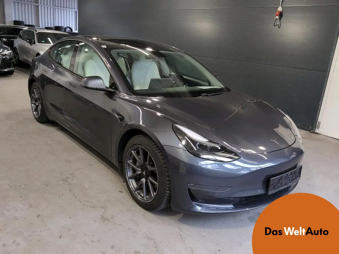 Tesla Model 3 Long Range AWD 75kWh Grau - 1