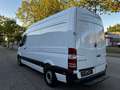 Mercedes-Benz Sprinter 314 CDi Kasten H+L 1.Hand EURO.6 Weiß - thumbnail 3