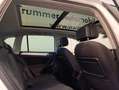 Volkswagen Tiguan Sky TDI SCR 4MOTION Weiß - thumbnail 10