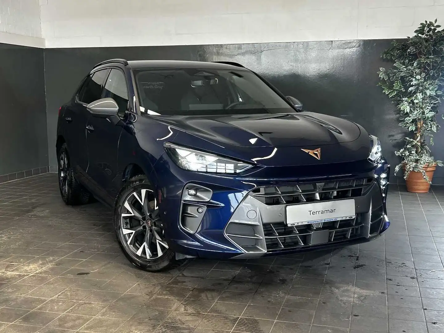 CUPRA Terramar 1.5 eTSI DSG +GJR+ACC+360° Blauw - 2