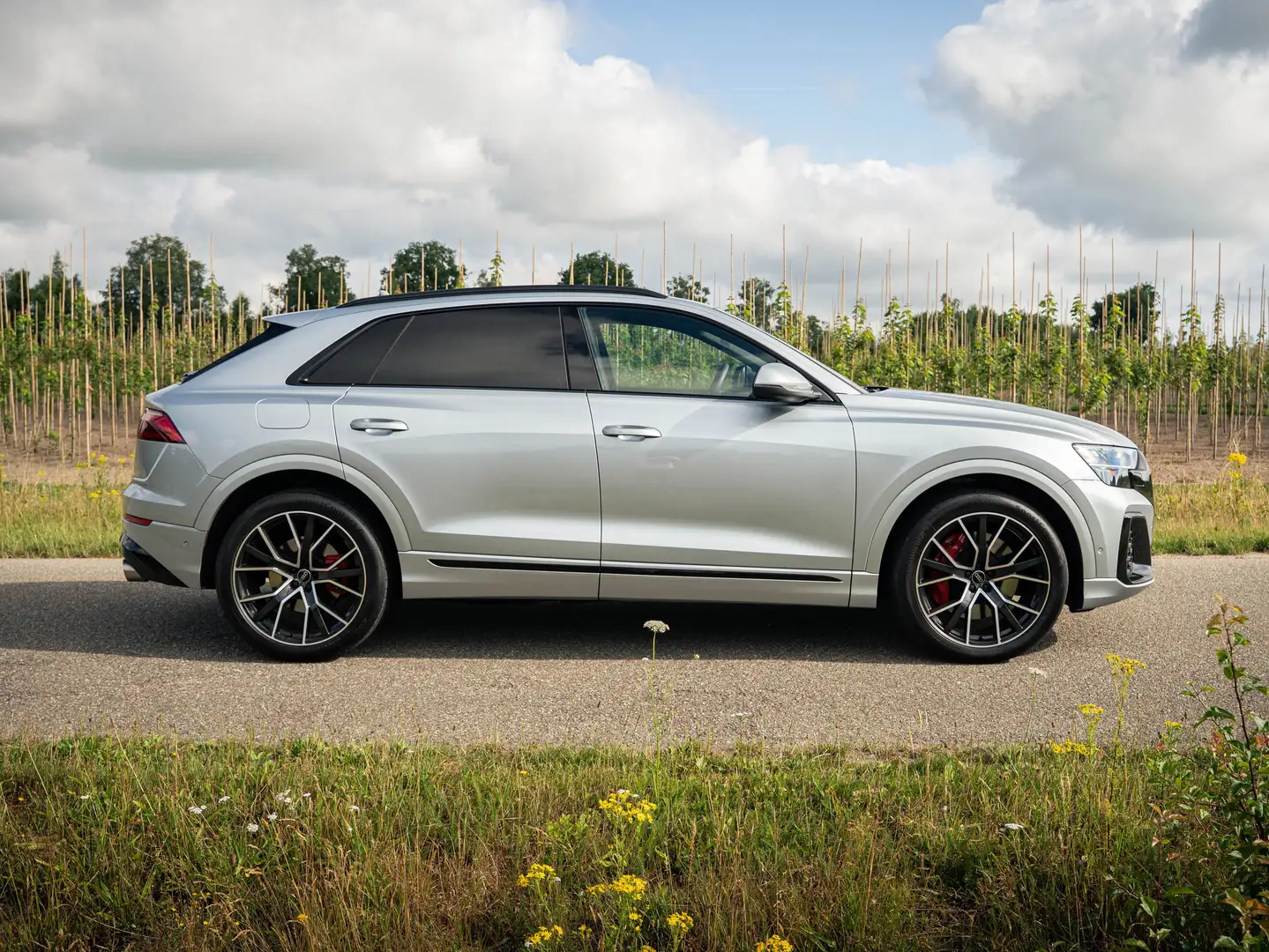 Audi Q8 55 TFSI q Pro Line S Grijs - 2