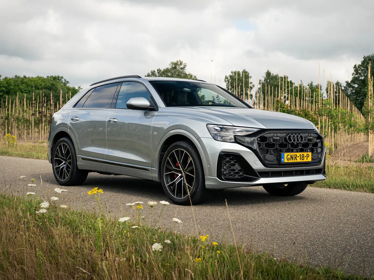 Audi Q8 55 TFSI q Pro Line S Grijs - 1