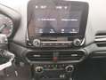 Ford EcoSport 1.0 EcoBoost 125 CV Start&Stop Titanium Blu/Azzurro - thumbnail 13