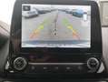 Ford EcoSport 1.0 EcoBoost 125 CV Start&Stop Titanium Blu/Azzurro - thumbnail 15