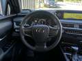 Lexus UX 250h 250h 2.0 Luxury 4wd cvt - thumbnail 15