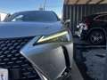 Lexus UX 250h 250h 2.0 Luxury 4wd cvt - thumbnail 14
