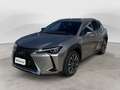 Lexus UX 250h 250h 2.0 Luxury 4wd cvt - thumbnail 1