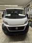 Fiat Ducato Maxi L4 - thumbnail 2