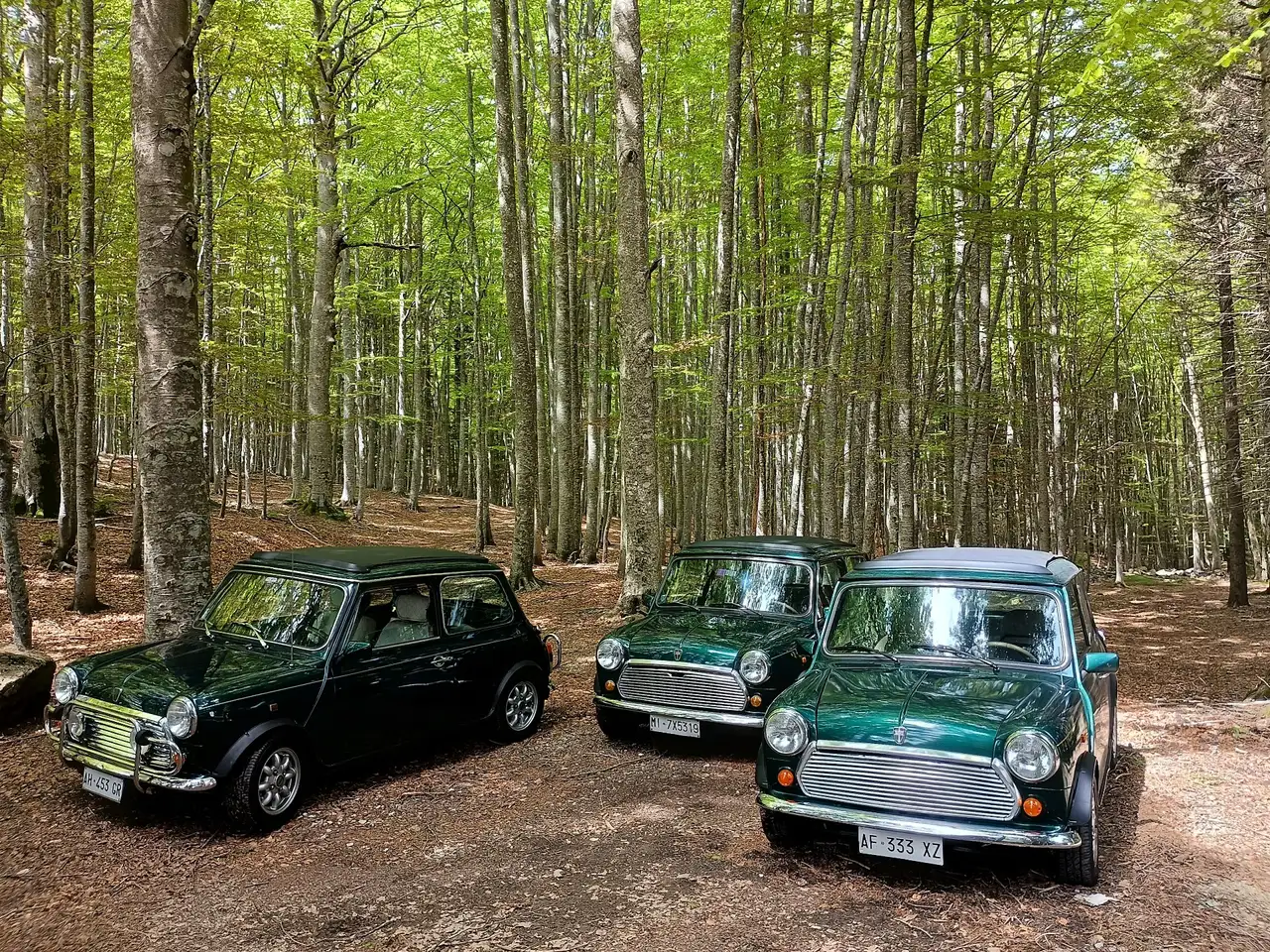 Rover MINI 1.3 British Open cat., foto 8