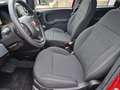 Fiat Panda hybrid 1.0 70CV "SOLO 700 km" Bluetooth, Sensori p Rouge - thumbnail 14