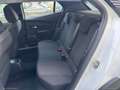 Peugeot 2008 PureTech 100 S&S Active - 2020 Blanco - thumbnail 26
