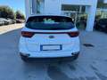 Kia Sportage 1.6 CRDI 115 CV 2WD Business Class Bianco - thumbnail 4