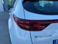 Kia Sportage 1.6 CRDI 115 CV 2WD Business Class Bianco - thumbnail 7