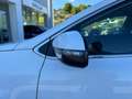Kia Sportage 1.6 CRDI 115 CV 2WD Business Class Bianco - thumbnail 6