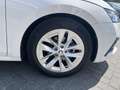 Skoda Octavia 1.0 TSI Sport Business Trekhaak wegklapbaar / LED Bianco - thumbnail 13
