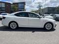 Skoda Octavia 1.0 TSI Sport Business Trekhaak wegklapbaar / LED Bianco - thumbnail 8