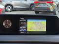 Lexus UX 250h First Edition NL-AUTO TREKHAAK TRIPLE-LED KEYLESS Schwarz - thumbnail 19