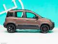 Fiat Panda 1.0 FireFly S&S Hybrid Trussardi EDIZIONE RARISSIM Braun - thumbnail 37