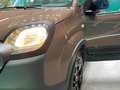 Fiat Panda 1.0 FireFly S&S Hybrid City Cross *RARISSIMA*1 PRO Marrone - thumbnail 12