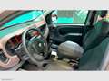 Fiat Panda 1.0 FireFly S&S Hybrid Trussardi EDIZIONE RARISSIM Braun - thumbnail 4