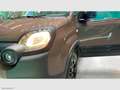Fiat Panda 1.0 FireFly S&S Hybrid Trussardi EDIZIONE RARISSIM Braun - thumbnail 14