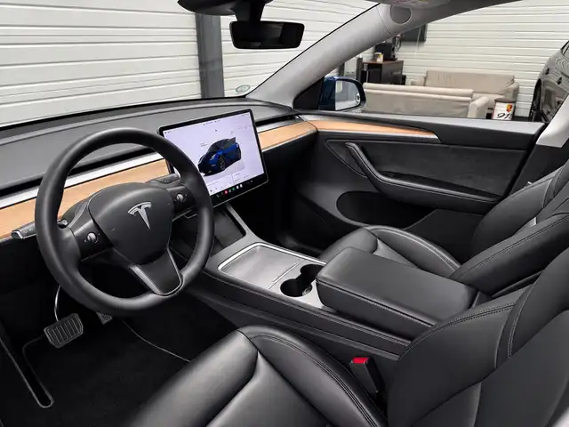 Tesla Model Y view 12