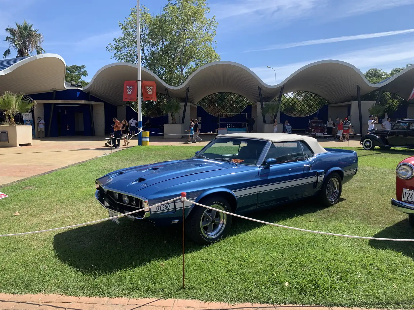 Shelby SHELBY GT 350 CONVERTIBLE 1969 Синій - 1