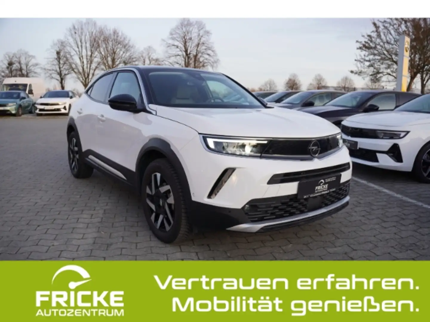 Opel Mokka-E Elegance+Kamera+Sitz+LenkradHzg+Tot-Winkelwarner Weiß - 1