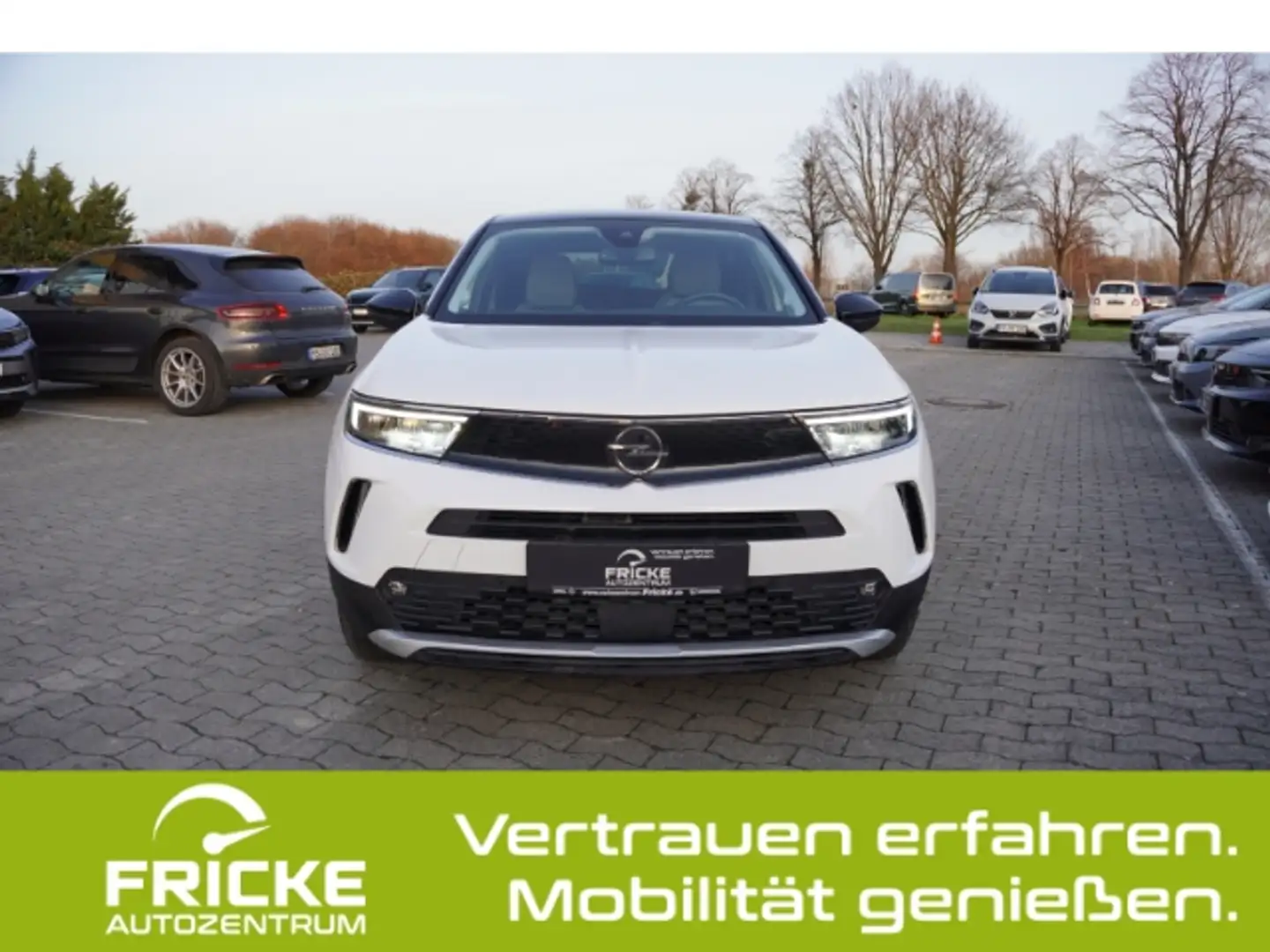 Opel Mokka-E Elegance+Kamera+Sitz+LenkradHzg+Tot-Winkelwarner Weiß - 2