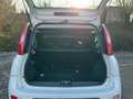 Fiat Panda 1.0 Mild Hybrid Base (Euro 6d) Blanc - thumbnail 12