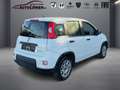 Fiat Panda 1.0 Mild Hybrid Base (Euro 6d) Blanc - thumbnail 4