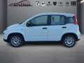 Fiat Panda 1.0 Mild Hybrid Base (Euro 6d) Blanc - thumbnail 2